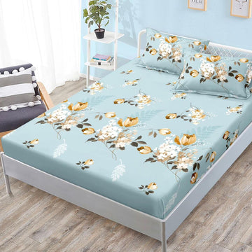 Design fără titlu-22