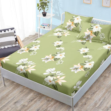 Design fără titlu-28
