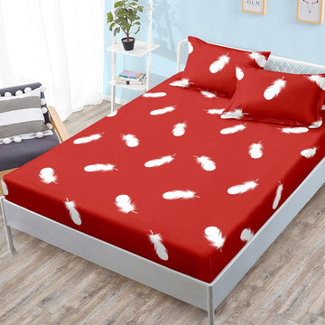 Design fără titlu-62